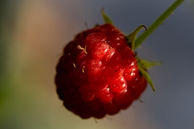5 Raspberry Pi Projects I'd Totally Do If I Had Time