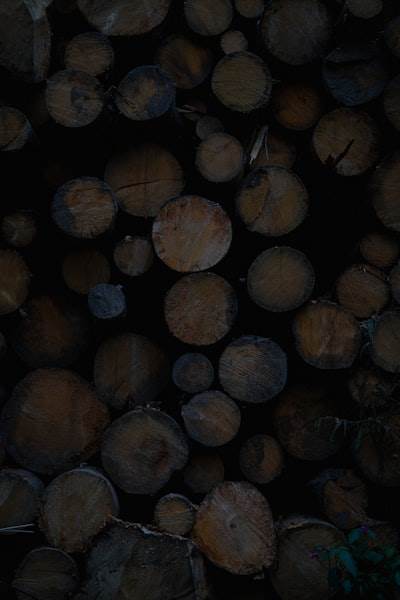 Construye una interfaz conversacional con AWS Lambda y Bedrock
