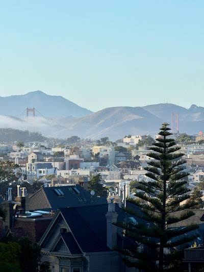 Top 50 Empresas de software en Santa Cruz de Tenerife