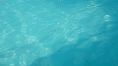 Top 3 Automatización de Negocios de Spa en Las Palmas de Gran Canaria