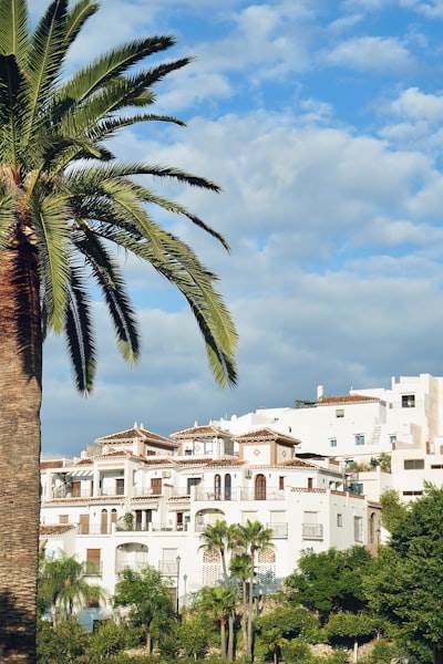 La mejor manera de encontrar servicios comerciales n8n en Ibiza