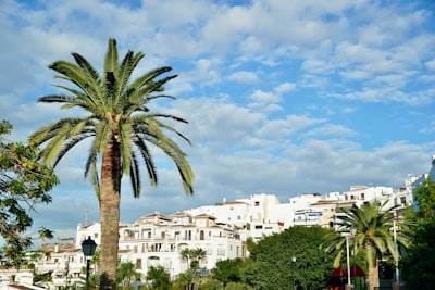 Principales empresas de desarrollo de apps móviles en Ibiza
