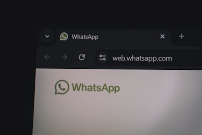 Características principales de los bots de WhatsApp