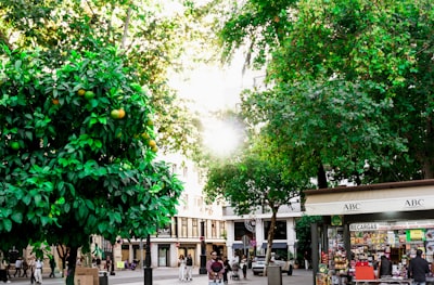 Software a medida para retail: las 3 mejores empresas en Sevilla