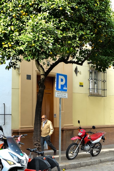 AI copiloto para operaciones internas en Sevilla</h2>