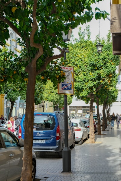 Las principales empresas de resumen de documentos en Sevilla