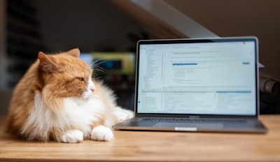 5 Free and Open Source Pet Software Projects to Support via Kiva