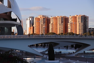Top 5 expertos en desarrollo de IA para pymes valencianas