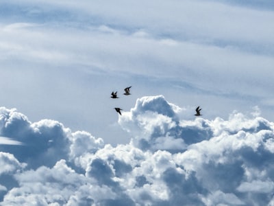Principales expertos en migración a la nube de Azure en Las Palmas de Gran Canaria