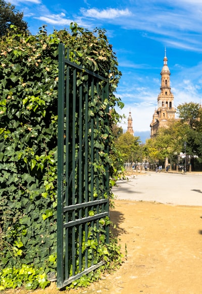 Socio oficial en automatización de flujos de trabajo de documentos en Sevilla