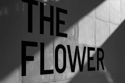 Filtros de Bloom, Espías de Favicon y el Reloj de 90 días de NPM