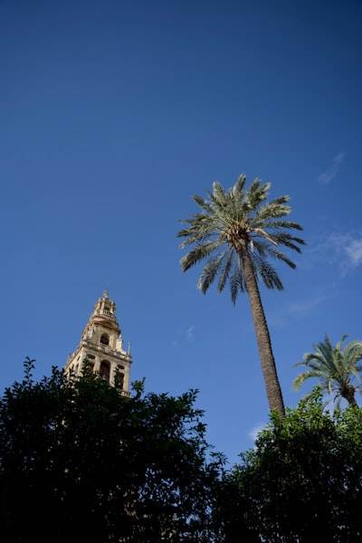 Mejores Empresas Consultoría Aplicaciones Córdoba