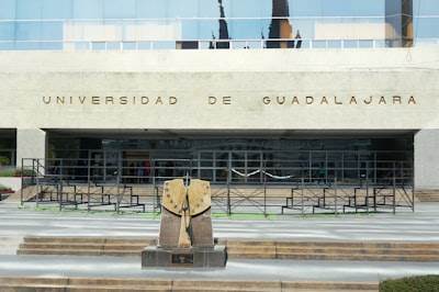 Socio oficial de IA automatizada en Guadalajara con 15+ años de experiencia