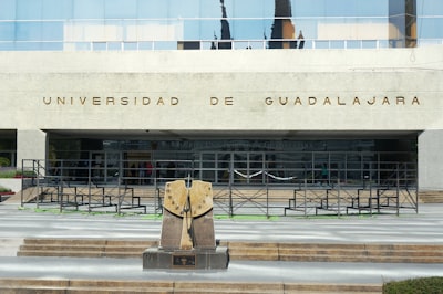 Empresa de automatización de IA en Guadalajara