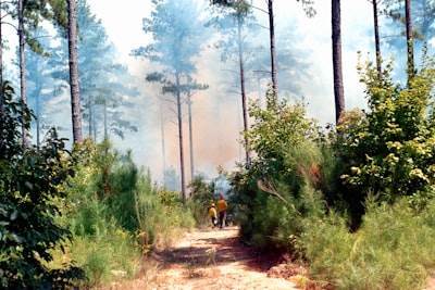 Detección de incendios impulsada por IA