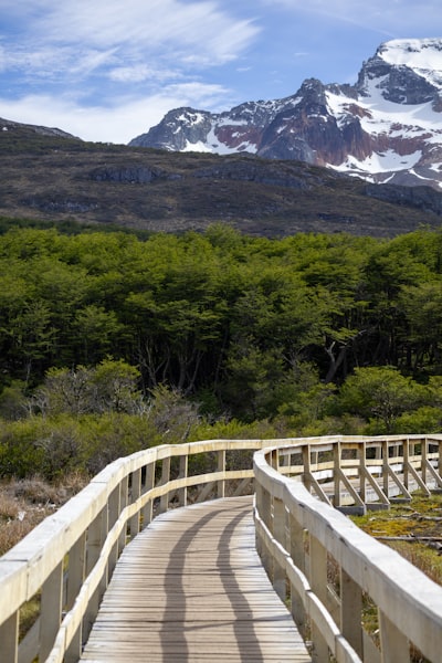 Mejor manera de explorar Parques Nacionales de EE. UU. en línea