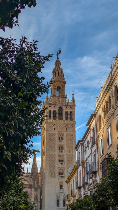 Top 50 Empresas de bots de Telegram en Sevilla