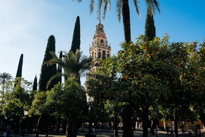 The leading companies in API-first software development in Cordoba
