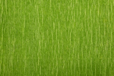 ¿Puede la IA generativa ser verde?