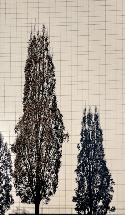 Benchmarking unificado para aceleración de pruning de LLM