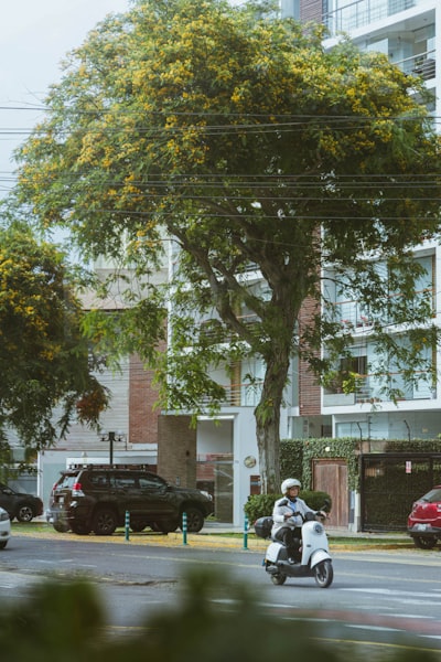 ¿Compra única o suscripción para motor de reservas?