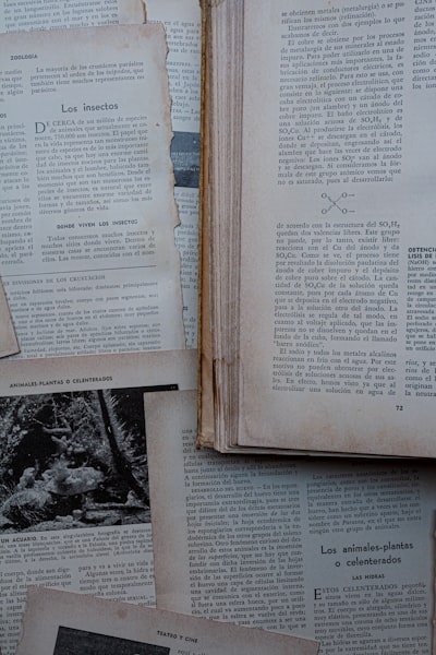 Monstruos en los Archivos sumerge en las primeras obras de Stephen King