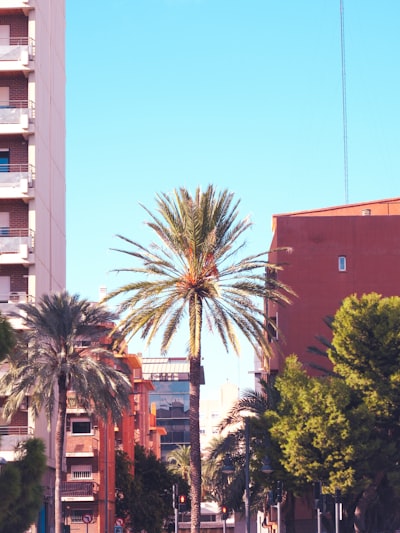 Comparativa de Herramientas para Eliminar Datos Duplicados en Valencia 2026