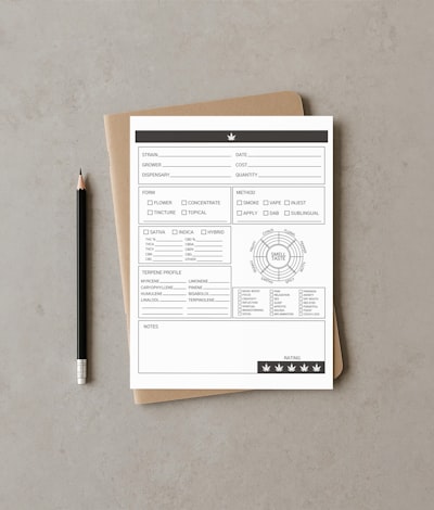 7 plantillas efectivas de encuestas de servicio al cliente