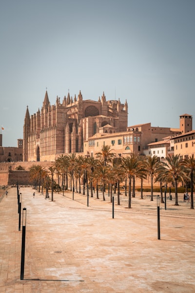 Guía de los mejores desarrolladores web a medida en Palma