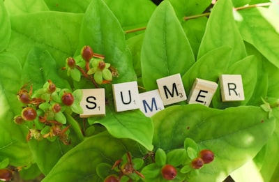Gafas de IA, proteína y otras tendencias de verano
